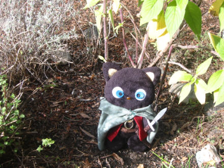 Chocofrodo weilding Sting